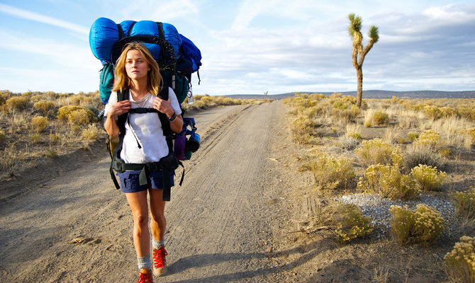 Wild (2014)