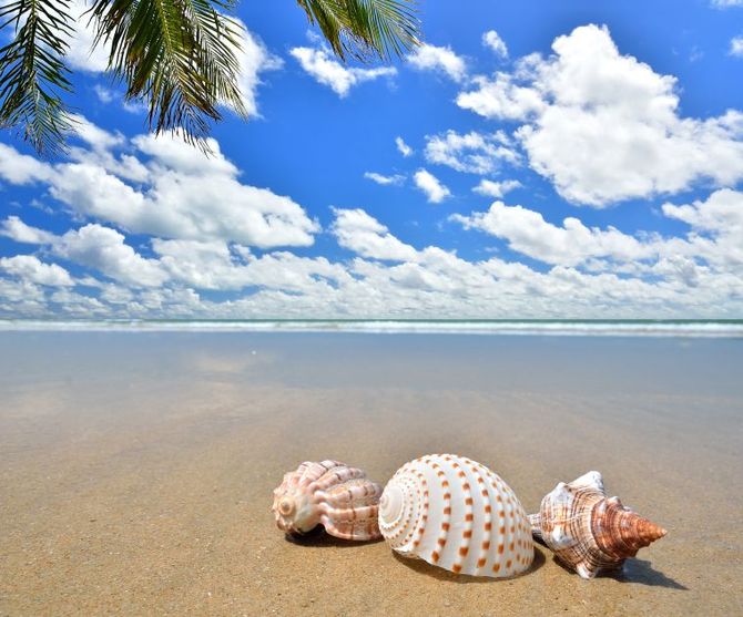5 Yapak Beach