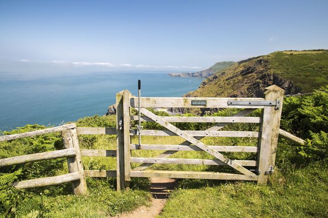 Mwnt