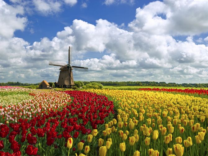 Olanda
