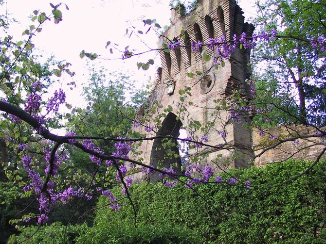 Villa Sorra