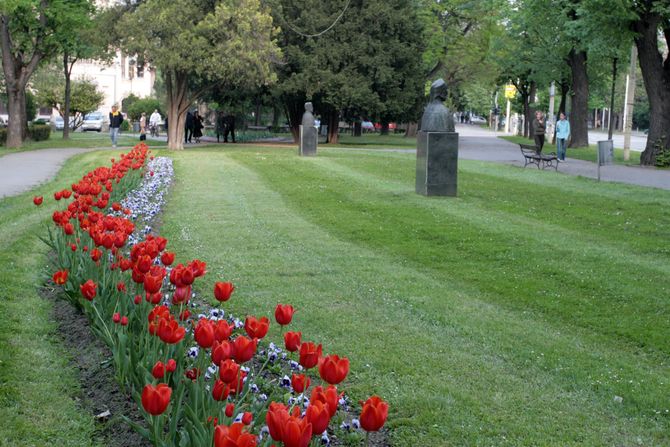 Osijek