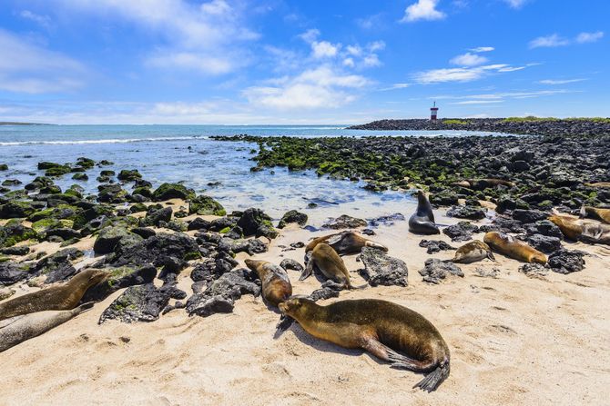 Galapagos