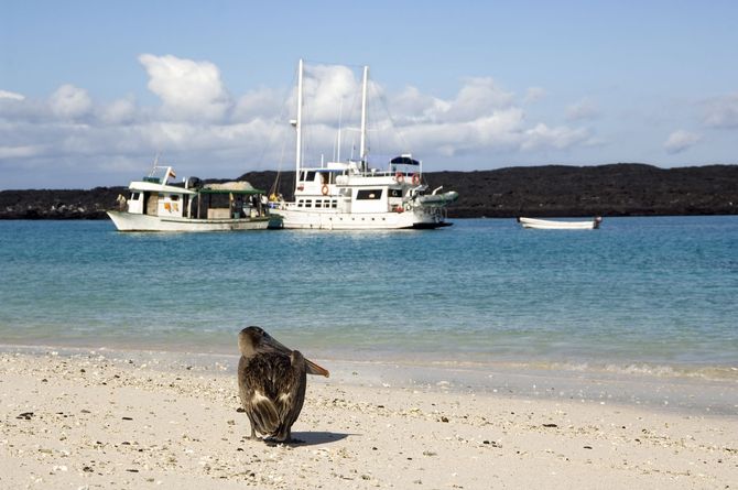 Galapagos