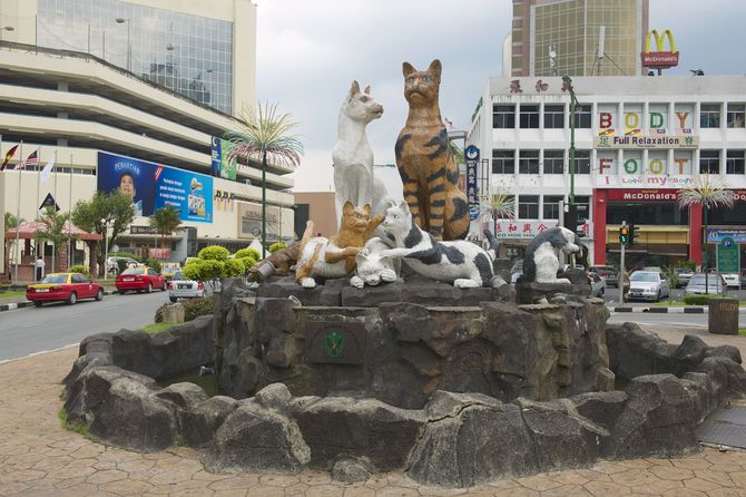 4. La Città dei Gatti nel Borneo
