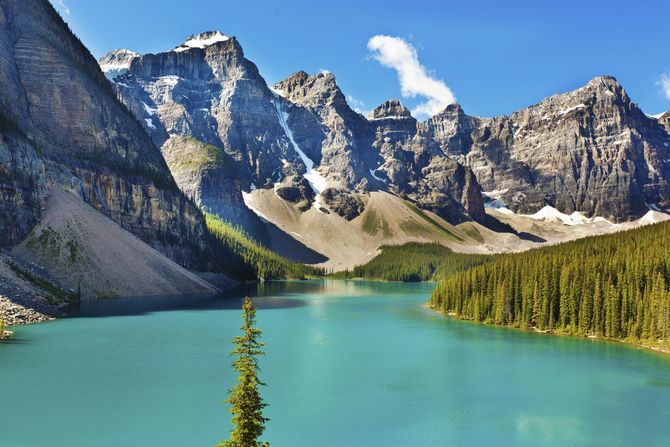 The Revenant - Canada