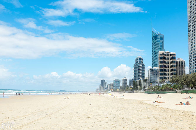 Surfers Paradise - Shark 3D