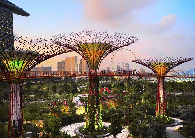 Alice attraverso lo specchio - Singapore