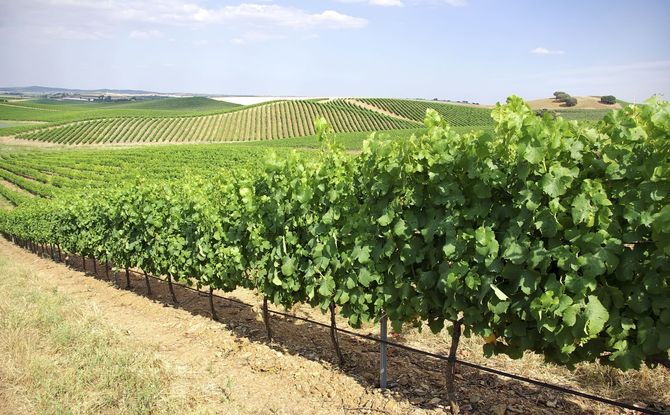Alentejo