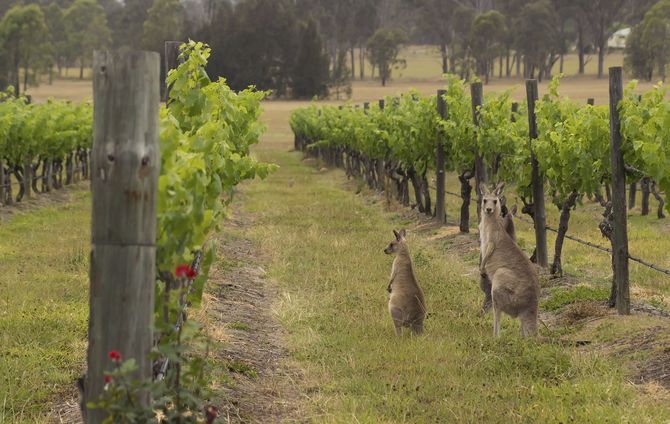 Hunter Valley