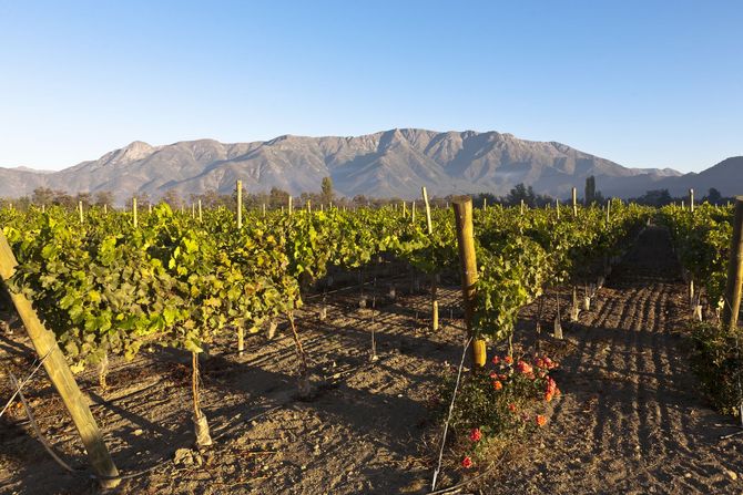 Maipo