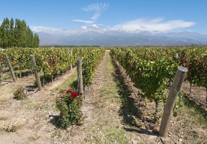 Mendoza