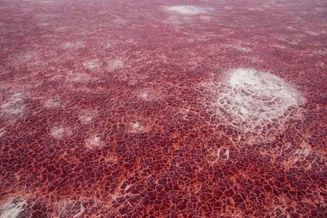 Lago Natron