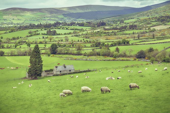 10 Irlanda