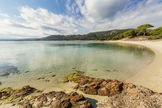 Spiaggia di Palombaggia