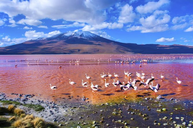 America del Sud - Bolivia