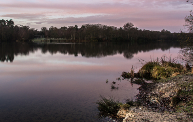 Virginia Water - Surrey