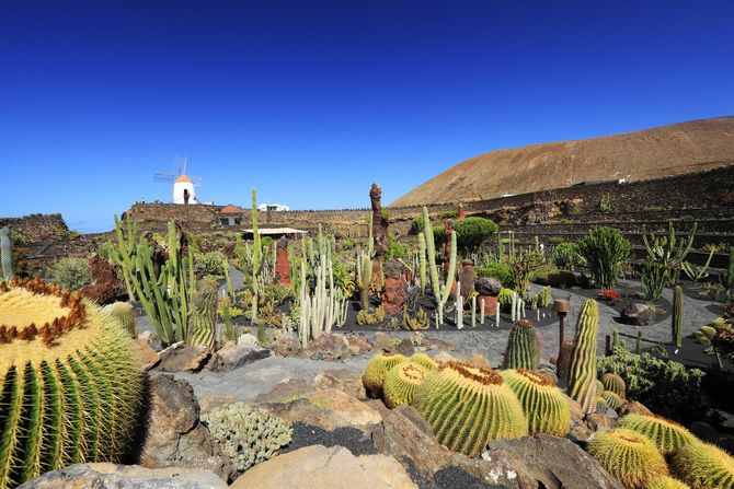 César Manrique - Arrecife, Lanzarote
