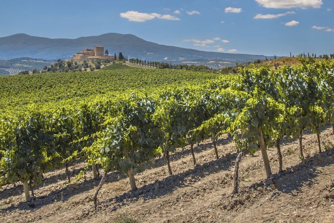 2 Wine Tour in Tuscany