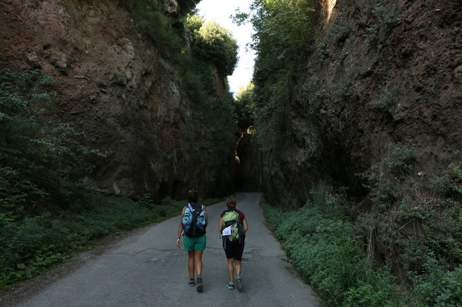 I mille volti della Via Francigena