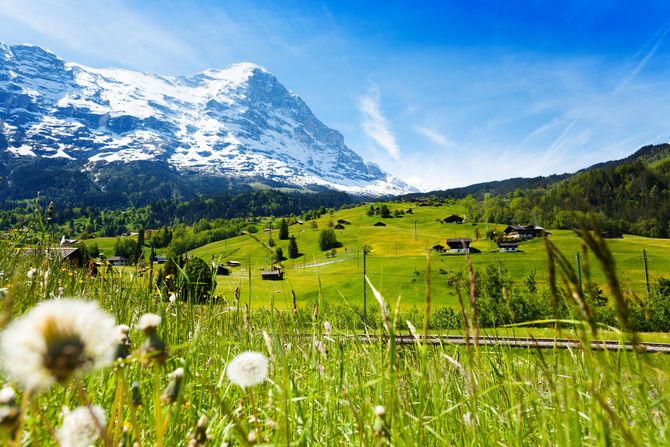 14. Svizzera
