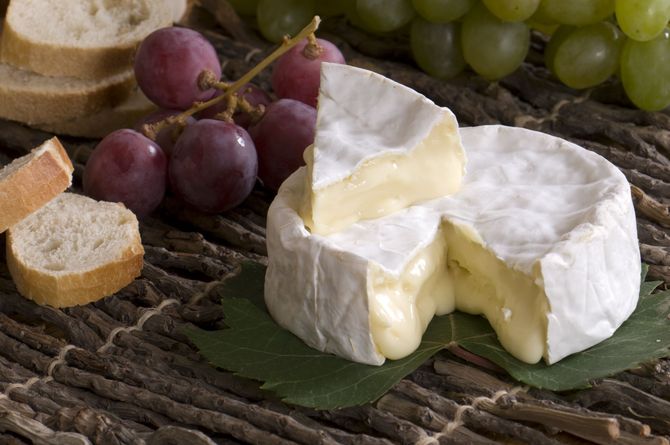 Camembert