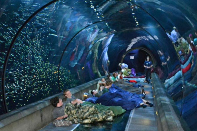 Oregon Coast Aquarium