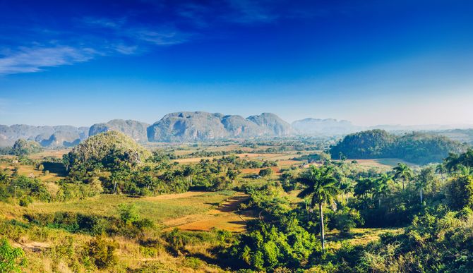 5 Esplorare le piantagioni di Vinales