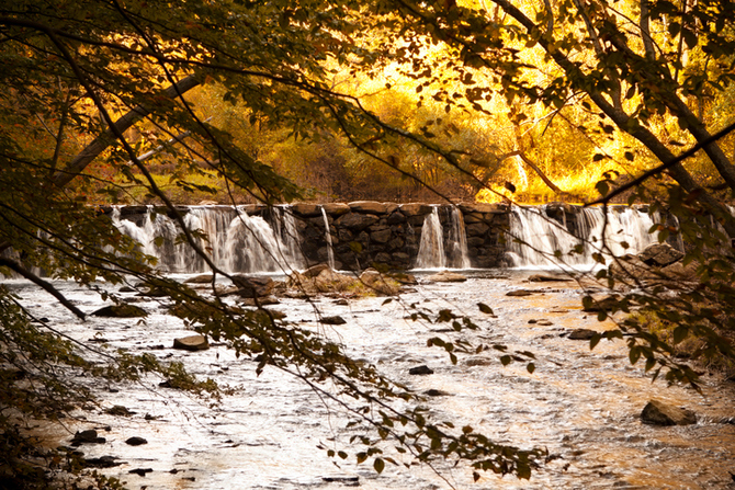 Ridley Creek State Park