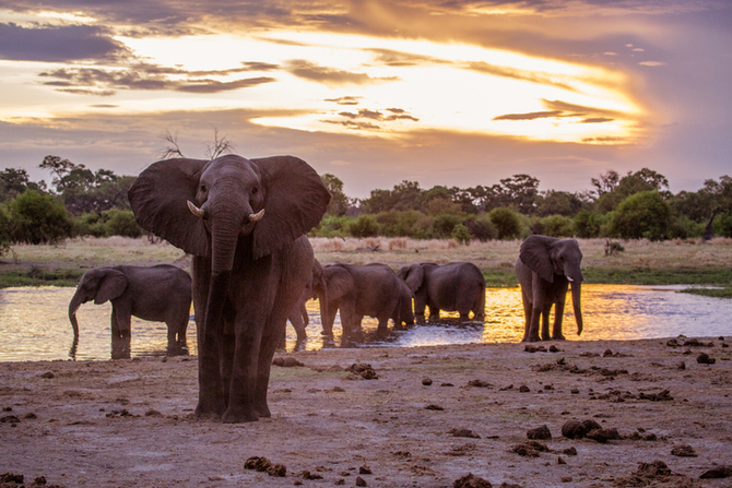 Magico Botswana