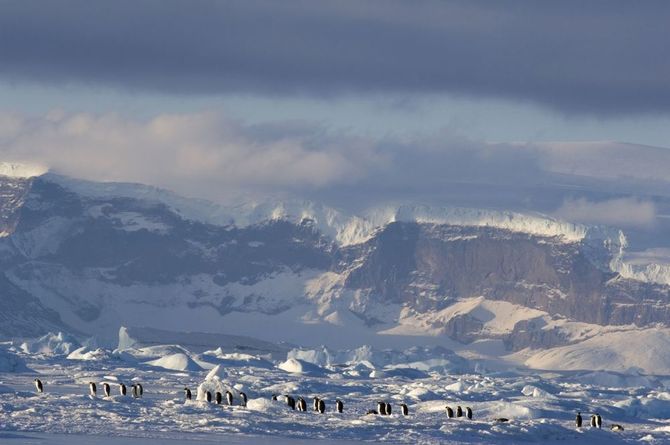 Il fascino gelido dell'Antartide
