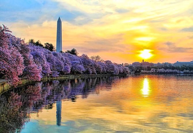 6. Washington D.C.
