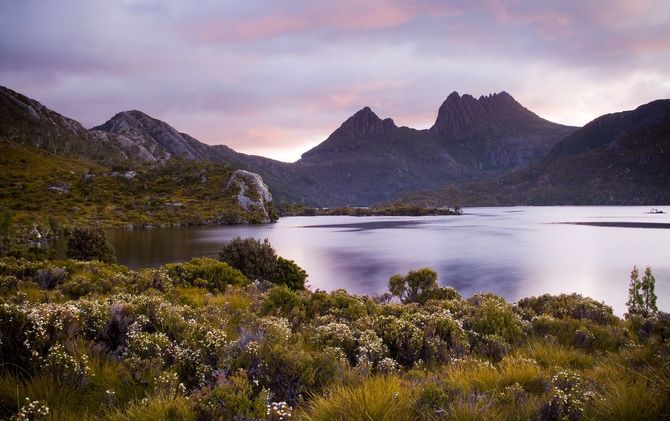 Tasmania