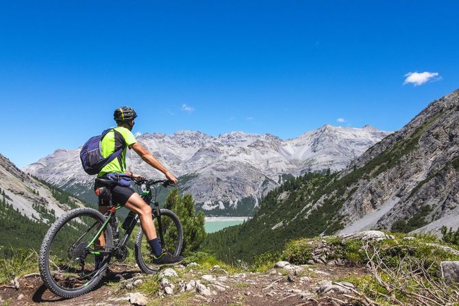 Vacanze in bicicletta