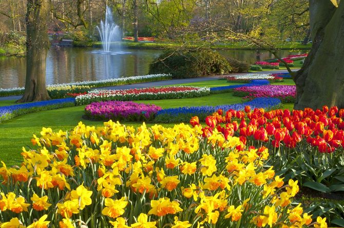 Keukenhof