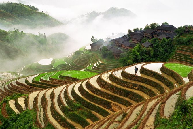 Le risaie di Longsheng