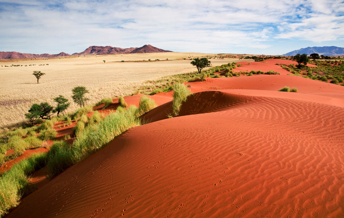 Deserto del Namib