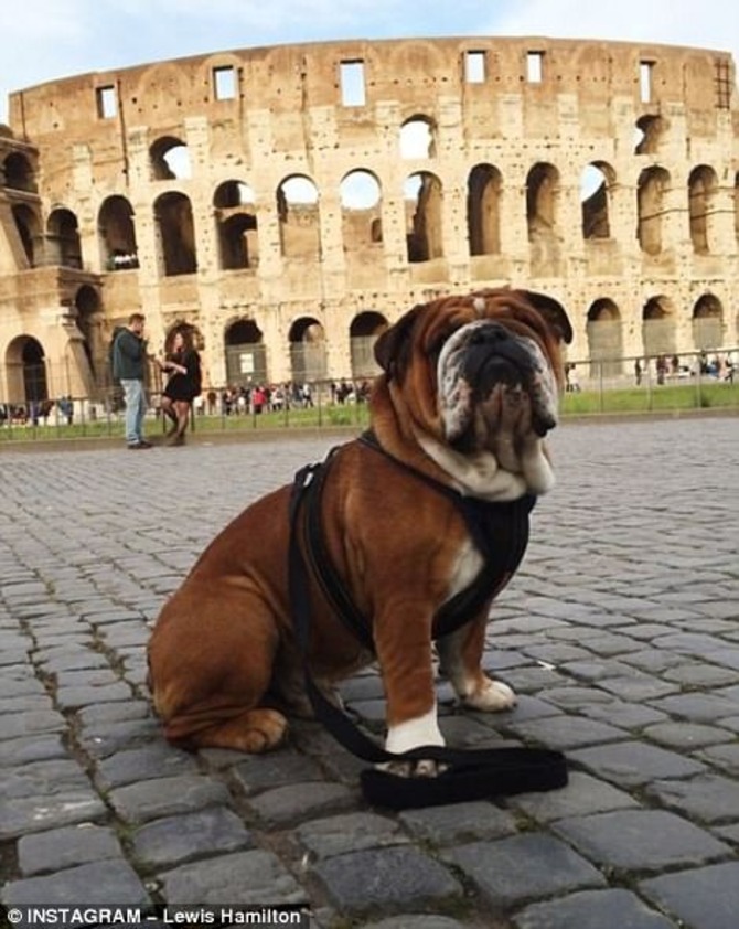 10. Colosseo, Roma - #Colosseum
