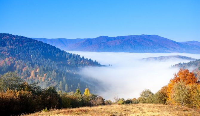 Chattahoochee-Oconee National Forest