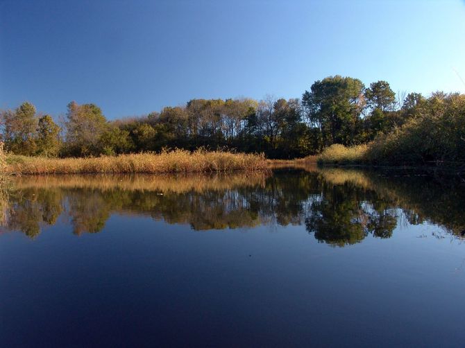 Land Between the Lakes National Recreation Area