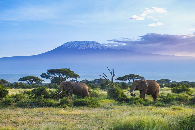 2.Tanzania (+85% rispetto al 2016)