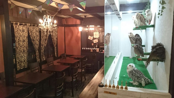 Cafe Ricky
