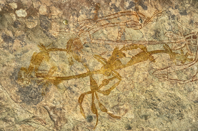 Kakadu