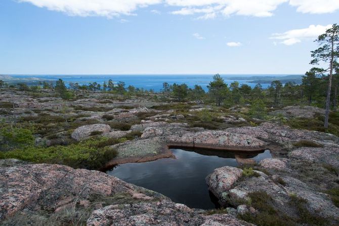 Paesaggi incontaminati esplorando il Skuleskogen in Svezia