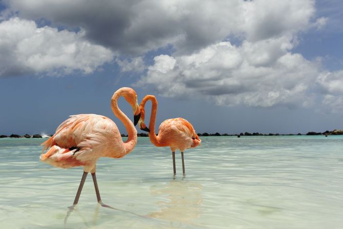 8. Aruba