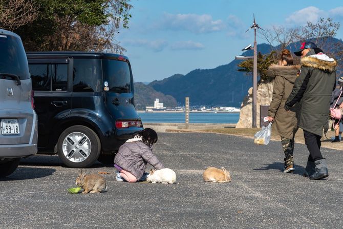 Okunoshima