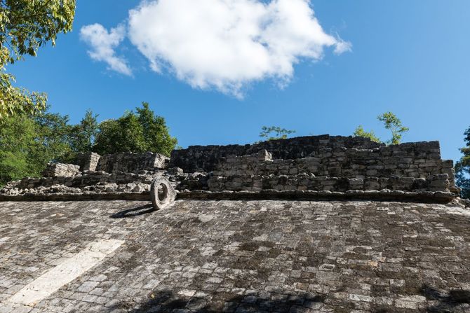 Cobá