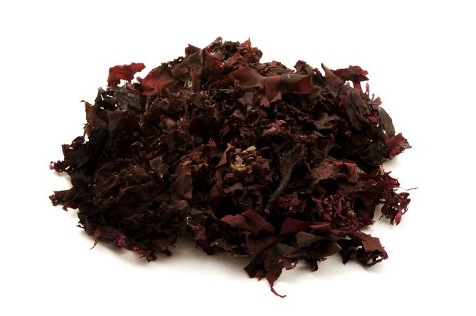 Dulse