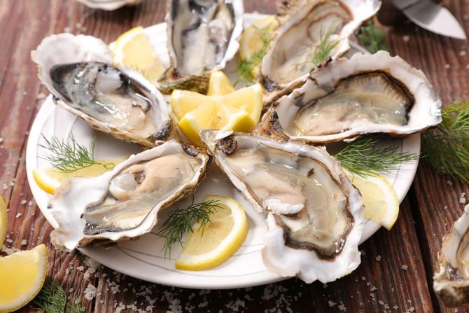 Prince Edward Island Oysters