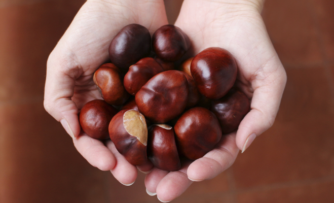 castagne